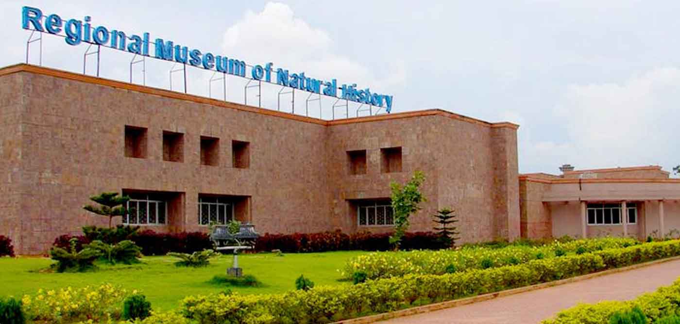 Regional Museum of Natural History, Bhubaneswar